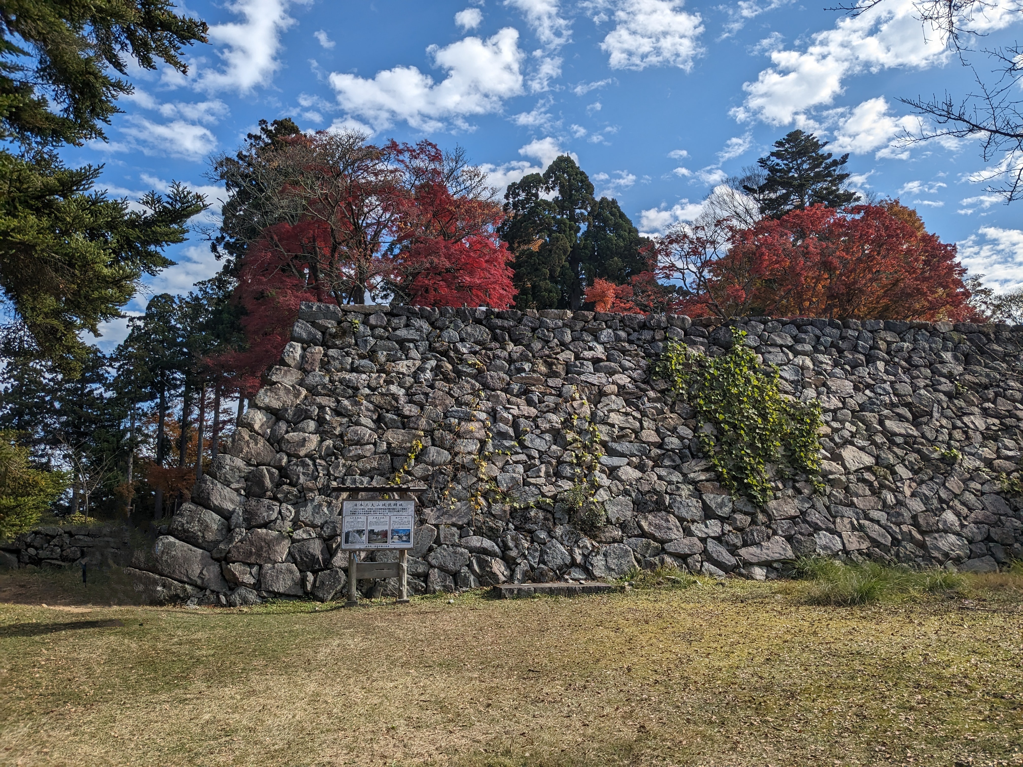 巧(たくみ)行政書士事務所